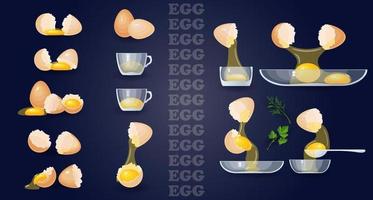 Eggs, yolks, albumen, eggshells, glass bowls. Vector set.