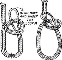 Knots, Bowline on a Loop of Rope, vintage illustration vector