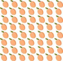 Apricot wallpaper, illustration, vector on white background.