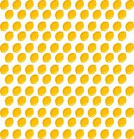 Lemon wallpaper, illustration, vector on white background.