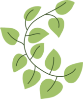 simplicity ivy freehand drawing. png