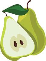 Pear in half, illustration, vector on white background.