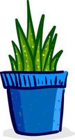 Plant in blue pot, vector or color illustration.