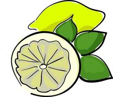 A lemon, vector or color illustration.