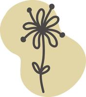 Buttercup flower, illustration, vector on a white background.