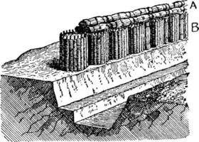 Trench with Fascines and Gabions, vintage illustration. vector