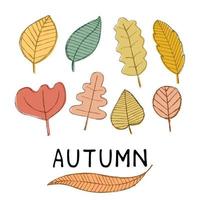 Autumn hand drawing leaves set, isolated on a white background. Simple cartoon flat style. Isolated vector illustration. Design for stickers, logos, web and mobile apps.