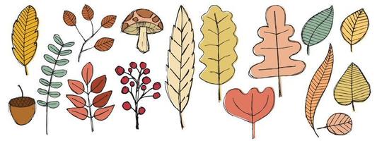 Autumn hand drawing leaves set, isolated on a white background. Simple cartoon flat style. Isolated vector illustration. Design for stickers, logos, web and mobile apps.