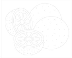 Oranges whole and cut. Sketch. Vector illustration.