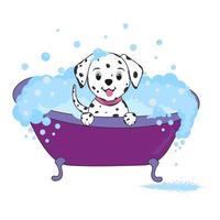 The dog is taking a bath. Vector illustration.