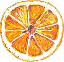 rodaja de acuarela de naranja seca para la receta de vino caliente pegatina dibujada a mano aislada vector