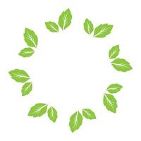 Leaf green decoration circle  logo and symbol vector template