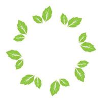 Leaf green decoration circle  logo and symbol vector template