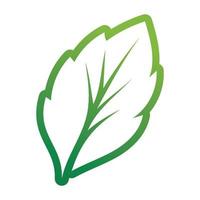 Leaf green logo and symbol vector