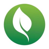 vector de logotipo y símbolo de hoja verde