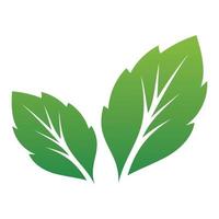 Leaf green logo and symbol vector