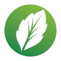 Leaf green logo and symbol vector