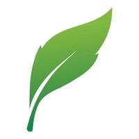 Leaf green logo and symbol vector