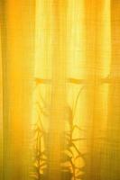 Unusual shadows and silhouettes from plants on yellow textiles. photo