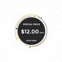 12 USD Dollar Month sale promotion Banner. Special offer, 12 dollar month price tag, shop now button. Business or shopping promotion marketing concept vector