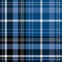 Seamless pattern in creative black, blue and white colors for plaid, fabric, textile, clothes, tablecloth and other things. Vector image.