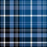 Seamless pattern in creative black, blue and white colors for plaid, fabric, textile, clothes, tablecloth and other things. Vector image.