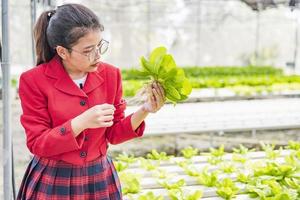 A beautiful Asian biotechnologist collects lettuce leaves for research with broccoli on an organic farm. Good quality products. Remember planting plants. Earth day concept. photo
