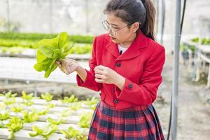 A beautiful Asian biotechnologist collects lettuce leaves for research with broccoli on an organic farm. Good quality products. Remember planting plants. Earth day concept. photo