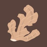 Ginger vector illustration for graphic design and decorative element