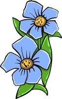 Violets flower , illustration, vector on white background