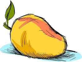 Drawing of mango, illustration, vector on white background.