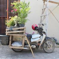 SERANG, BANTEN - INDONESIA. OKTOBER 1 2022. Seller of plants, flowers, seeds, fertilizer, and pots, using a motorbike in Serang - Banten, Indonesia. photo