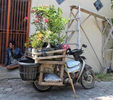 SERANG, BANTEN - INDONESIA. OKTOBER 1 2022. Seller of plants, flowers, seeds, fertilizer, and pots, using a motorbike in Serang - Banten, Indonesia. photo