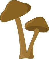 Mushrooms, illustration, vector on white background.