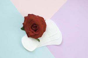 Menstrual pads with red rose flower lies on multicolored background top view photo