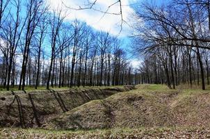 Spring landscape with a deep ravine filled with fallen leaves surrounded by a lot of trees on the edge of the forest next to the village photo