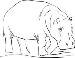 Hippo drawing, illustration, vector on white background.