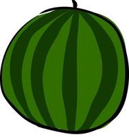Big round watermelon, illustration, vector on white background.