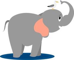 Gull and elephant, illustration, vector on white background.