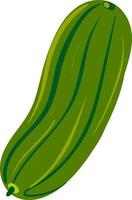 Fresh cucumber, illustration, vector on white background.