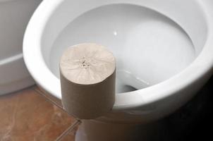 A roll of gray toilet paper lies on a white ceramic toilet in the bathroom photo