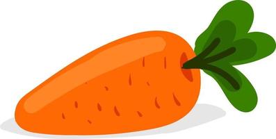 Flat carrot, illustration, vector on white background