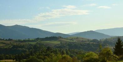 foto de las montañas de los Cárpatos, que tienen muchos árboles coníferos. praderas de bosques y montañas a principios de la temporada de otoño