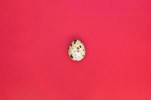 One quail egg on a light red surface, top view, empty place for text photo