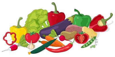 Vegetables still life.Fresh vegetables, autumn harvest.Broccoli, potatoes, radishes, tomatoes, peas, peppers, chili peppers lying nearby.Flat vector illustration in the style of hand drawing.