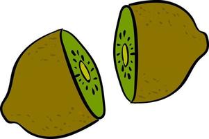 Kiwi cut in half, illustration, vector on white background.