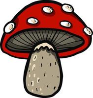 Red mushroom , illustration, vector on white background