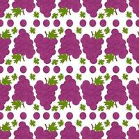 Grapes pattern, illustration, vector on white background.