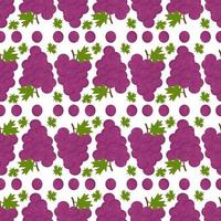 Grapes pattern, illustration, vector on white background.