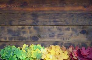 Composition of many yellowing fallen autumn leaves on a background surface of natural wooden boards of dark brown color photo